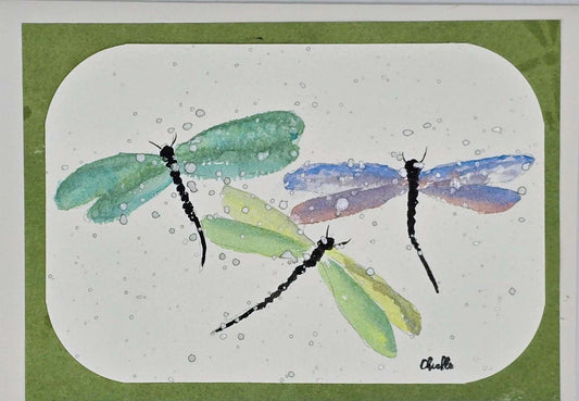Blank Card - Three Dragonflies