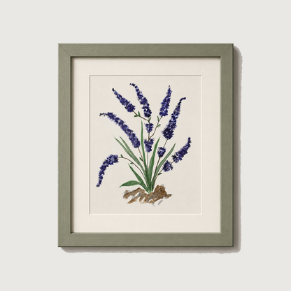 Framed botanical art print of purple lavender flowers with green leaves on a cream background, housed in a muted sage green frame against a light gray wall.