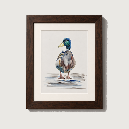 A framed watercolor painting of a mallard duck standing on a light gray background. The artwork features a dark brown wooden frame and a white mat border.